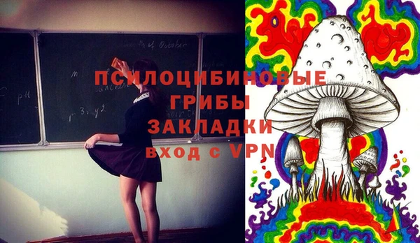 метадон Армянск