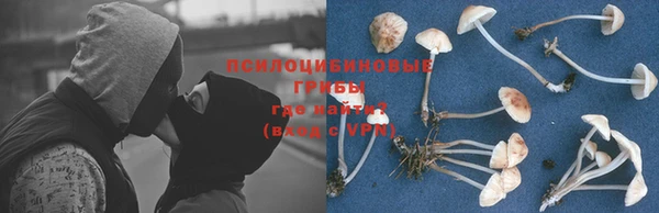 бошки Арсеньев
