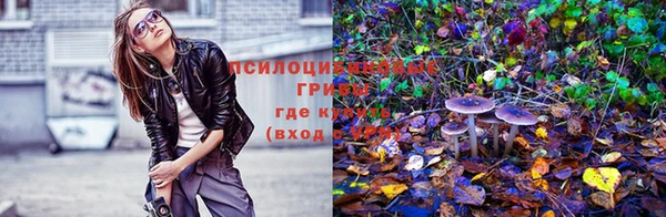 бошки Арсеньев