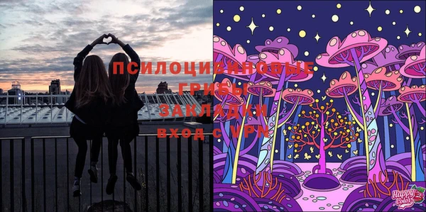 метадон Армянск