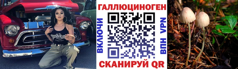 Псилоцибиновые грибы Cubensis  Борисоглебск 